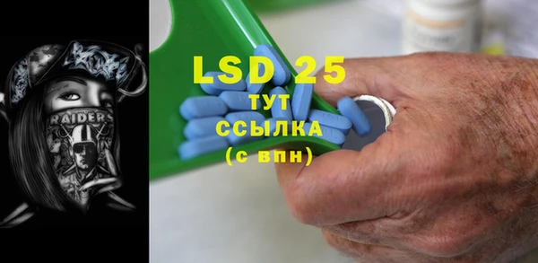 стаф Вязьма