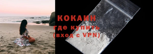 стаф Вязьма