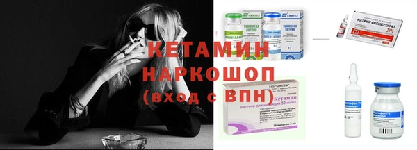 стаф Вязьма