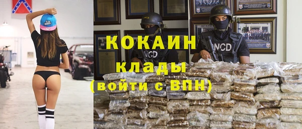 ALPHA-PVP Вяземский