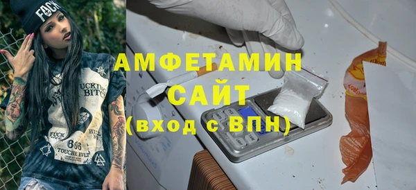 стаф Вязьма