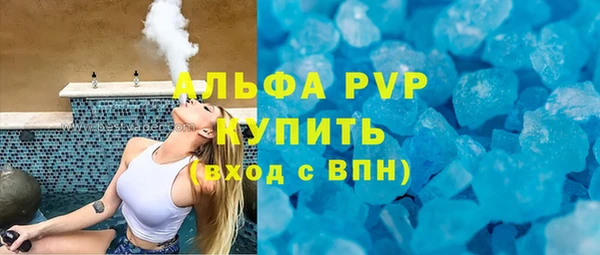 стаф Вязьма