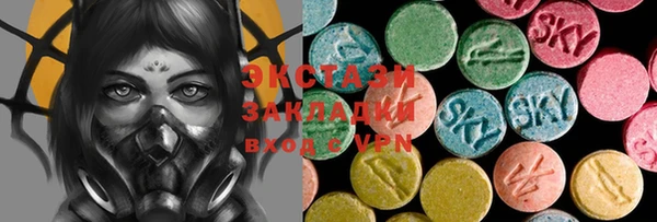 стаф Вязьма