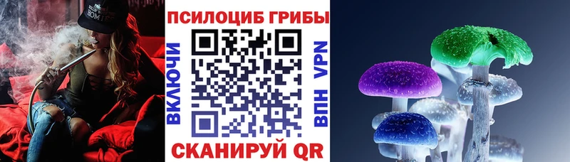 kraken ТОР  цены   Заречный  Галлюциногенные грибы Magic Shrooms 